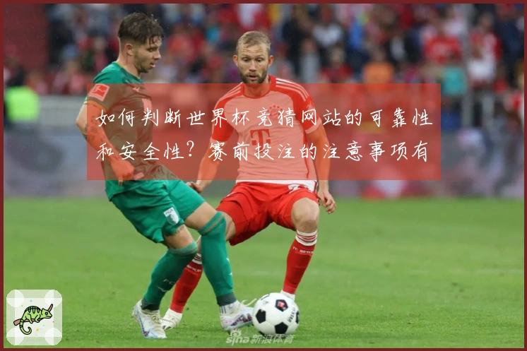 如何判断世界杯竞猜网站的可靠性和安全性?赛前投注的注意事项有哪些?