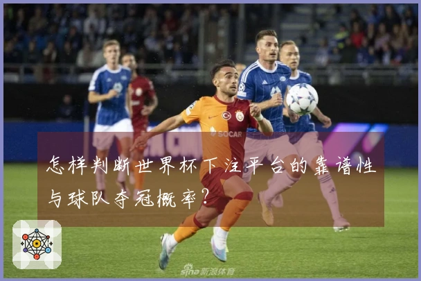 怎样判断世界杯下注平台的靠谱性与球队夺冠概率？