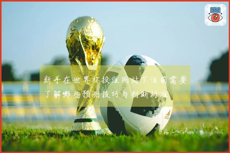 新手在世界杯投注网站下注前需要了解哪些预测技巧与判断标准
