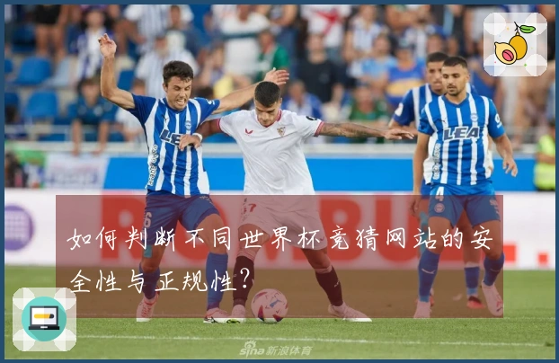 如何判断不同世界杯竞猜网站的安全性与正规性？